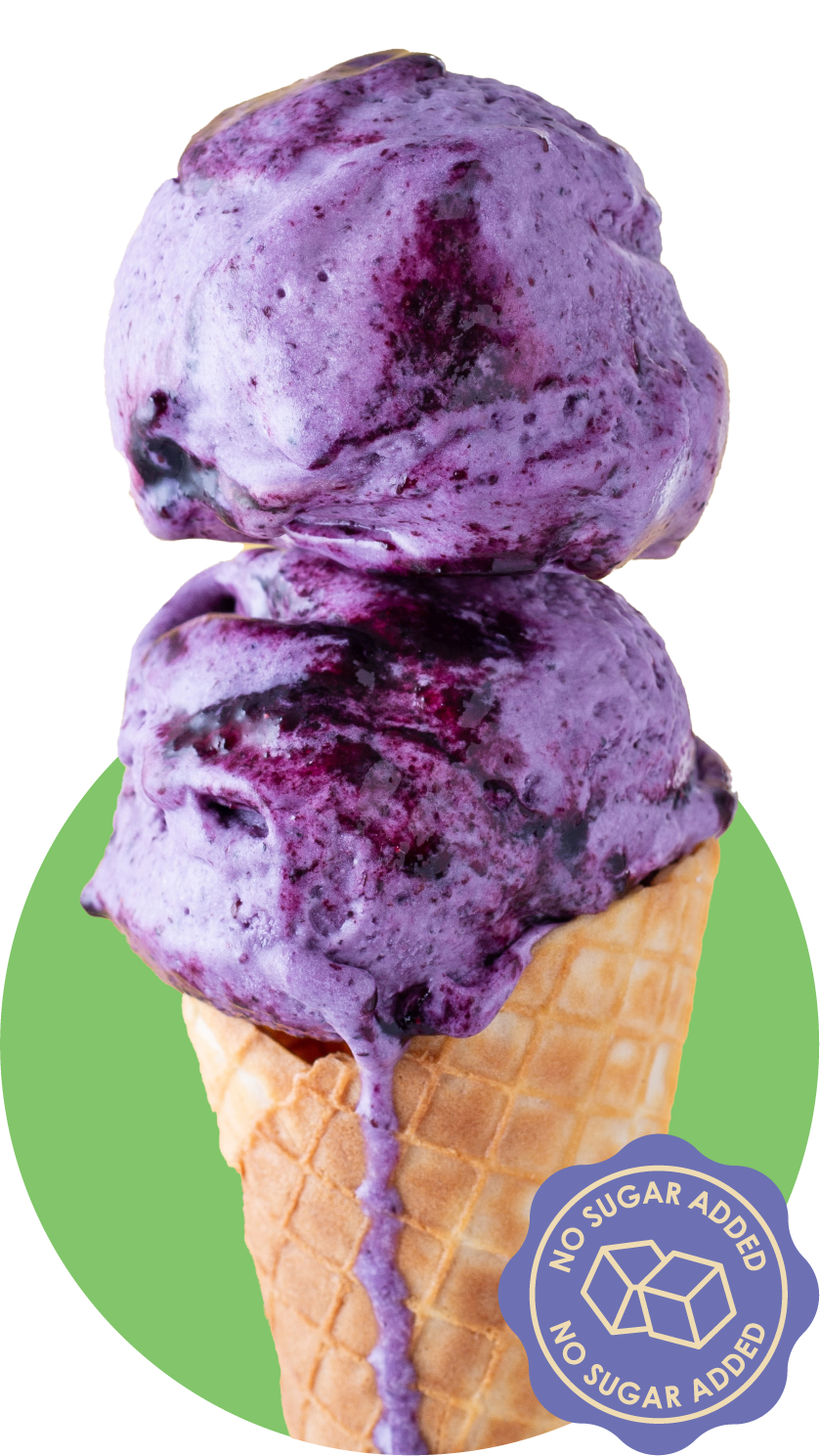 No Sugar Added Blueberry