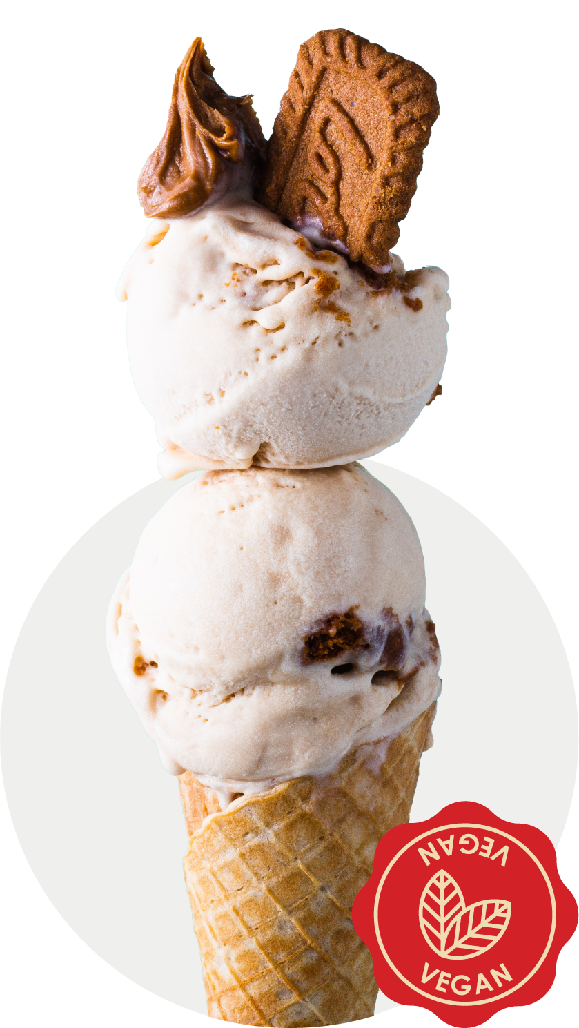 Vegan Biscoff Biscoff Biscoff!
