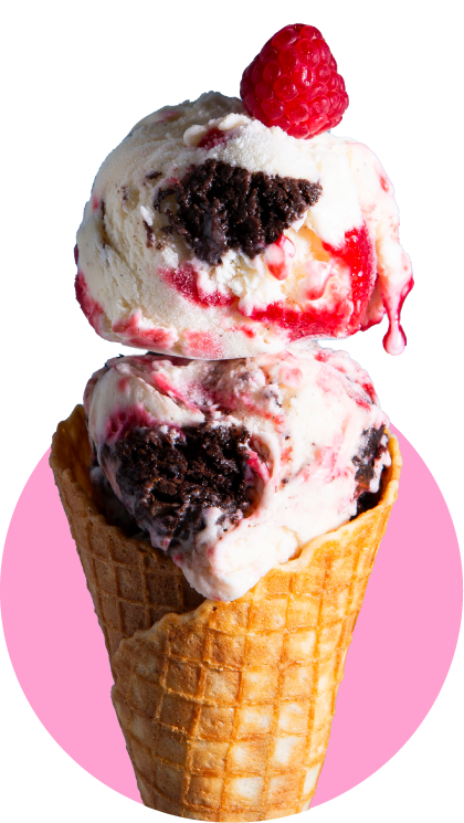 Raspberry Brownie